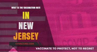 New Jersey's Vaccination Rate: Current Stats and Trends Explained