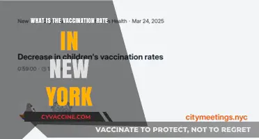 New York's Vaccination Rate: Current Stats and Trends Explained