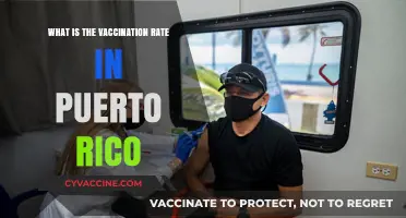 Puerto Rico's Vaccination Rate: Current Stats and Trends Explained
