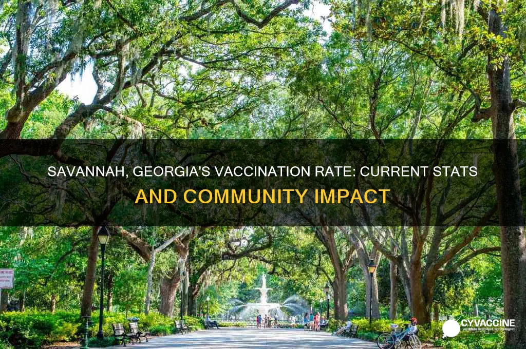 what is the vaccination rate in savannah georgia