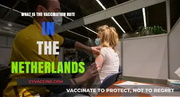 Netherlands Vaccination Rate: Current Stats and Public Health Insights