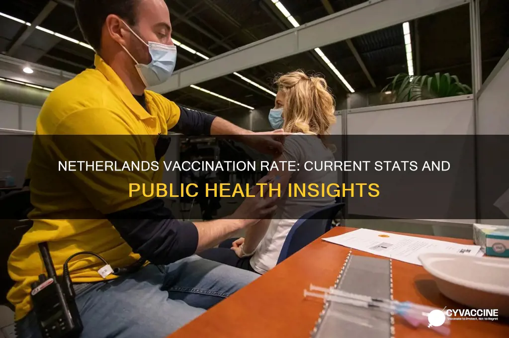 what is the vaccination rate in the netherlands