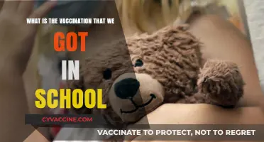 School Vaccinations Explained: Understanding the Shots We Received as Kids