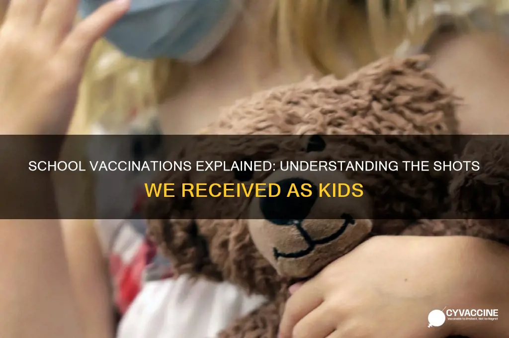 what is the vaccination that we got in school