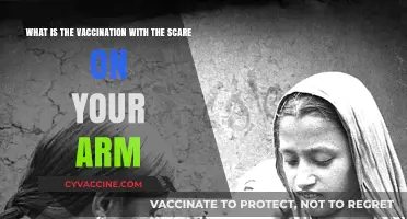 Understanding the Smallpox Vaccine Scar: History, Science, and Significance