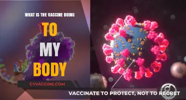 Understanding Vaccines: How They Interact and Strengthen Your Immune System