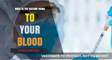 Vaccine Impact: Unveiling Its Effects on Blood Composition and Health