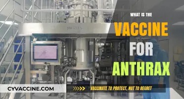 Understanding Anthrax Vaccines: Protection, Development, and Importance Explained