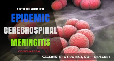 Understanding the Vaccine for Epidemic Cerebrospinal Meningitis: A Comprehensive Guide