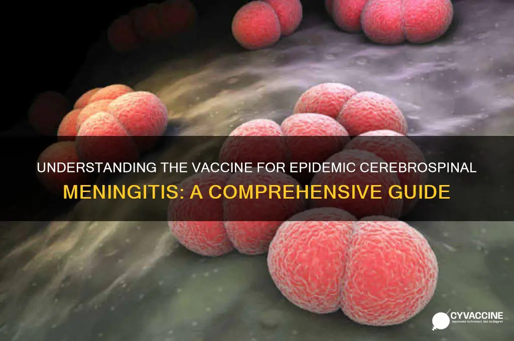 what is the vaccine for epidemic cerebrospinal meningitis