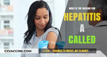 Hepatitis A Vaccine: What You Need to Know