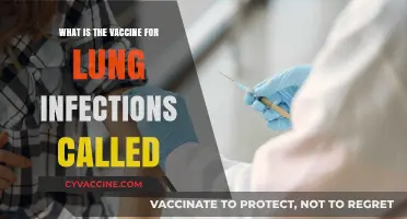 Understanding Pneumococcal Vaccines: Preventing Lung Infections Effectively