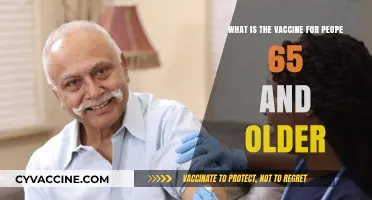 Essential Vaccines for Seniors: Protecting Health After 65