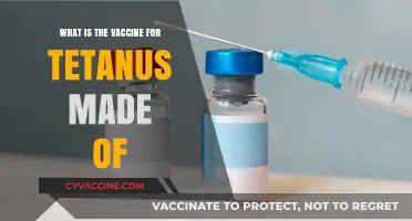 Understanding Tetanus Vaccine Composition: Key Ingredients and Their Role