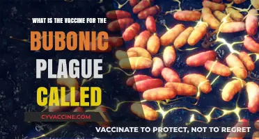Unveiling the Vaccine: Protecting Against the Bubonic Plague's Threat
