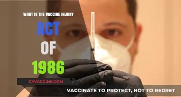 Understanding the 1986 Vaccine Injury Act: A Comprehensive Overview