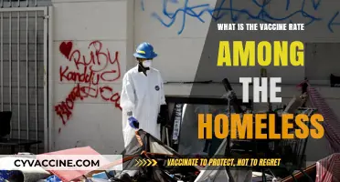 Vaccine Access and Rates Among Homeless Populations: A Critical Overview