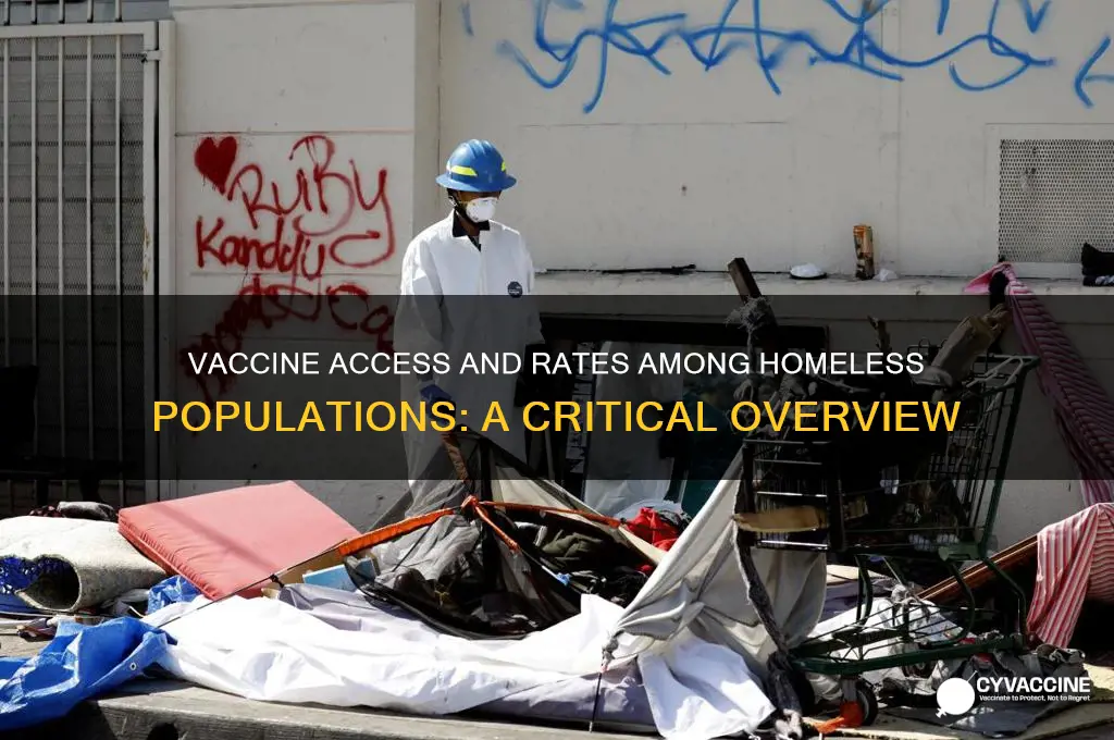 what is the vaccine rate among the homeless