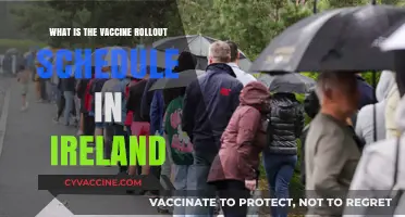 Ireland's COVID-19 Vaccine Rollout: Timelines, Phases, and Priority Groups