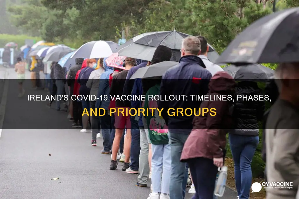 what is the vaccine rollout schedule in ireland
