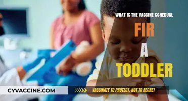 Toddler Vaccine Schedule: Essential Immunizations for Your Child's Health