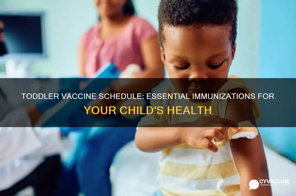 what is the vaccine schedual fir a toddler