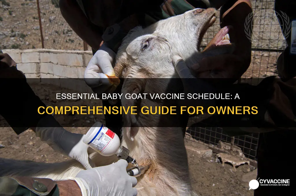 what is the vaccine schedule for baby goats