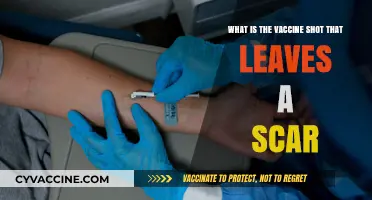 The Smallpox Vaccine: Understanding the Shot That Leaves a Scar