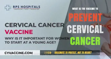 Vaccine Power: Preventing Cervical Cancer