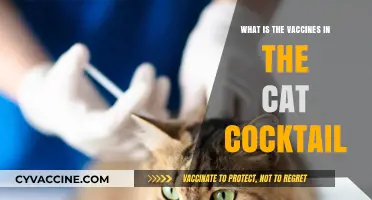 Understanding the Essential Vaccines in Your Cat's Cocktail Shot