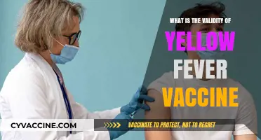 Yellow Fever Vaccine Validity: Duration, Requirements, and Travel Guidelines