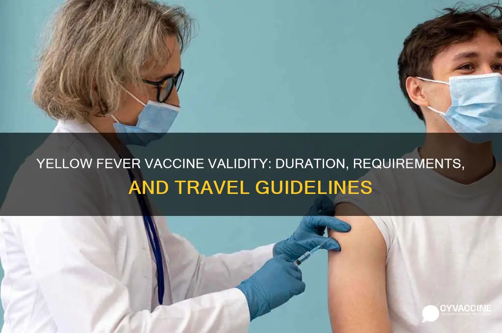 what is the validity of yellow fever vaccine