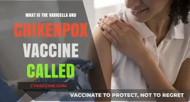 Varicella Vaccine: The Key to Preventing Chickenpox Explained