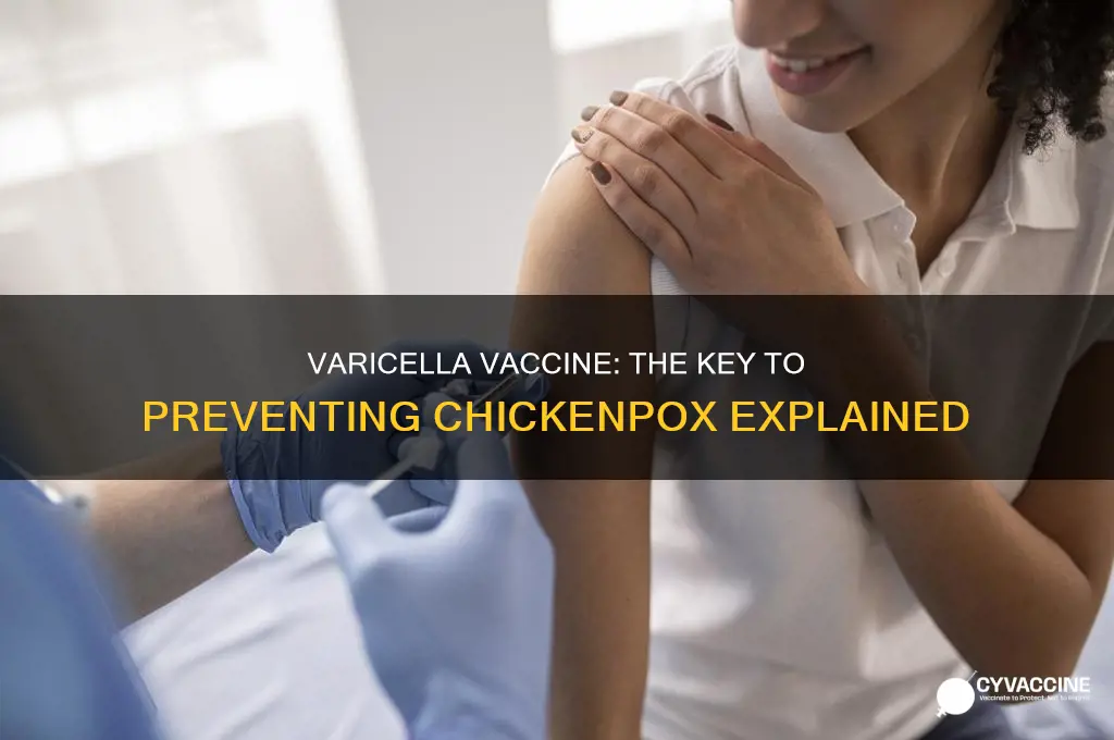 what is the varicella and chikenpox vaccine called