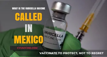 Varicella Vaccine Name in Mexico: Understanding Local Terminology