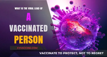Vaccinated Viral Load: Understanding Transmission Risks Post-Vaccination