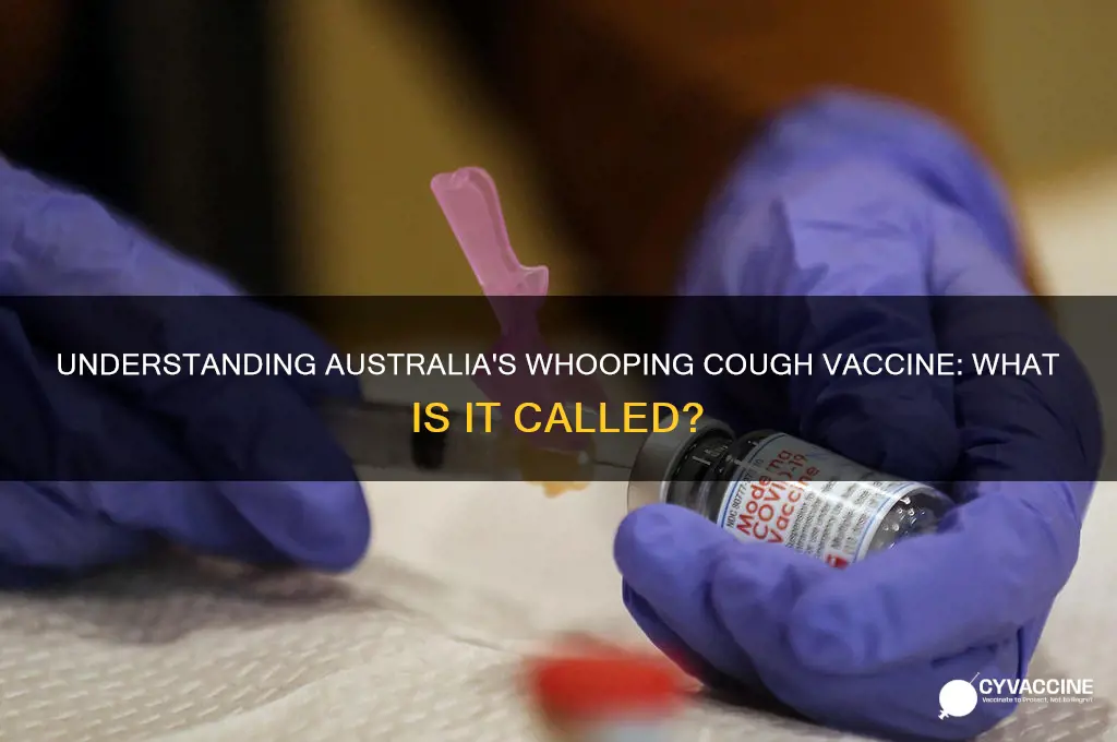 what is the whooping cough vaccine called australia