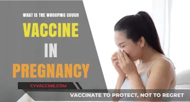 Whooping Cough Vaccine in Pregnancy: Benefits, Safety, and Importance