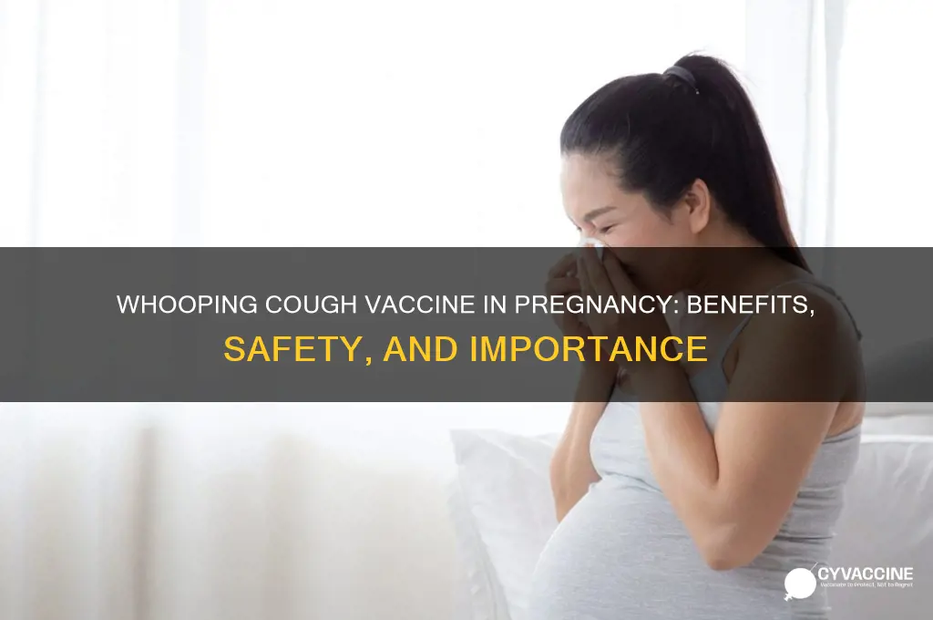 what is the whooping cough vaccine in pregnancy