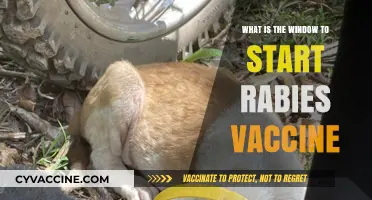 Understanding the Critical Timeframe to Begin Rabies Vaccination Post-Exposure