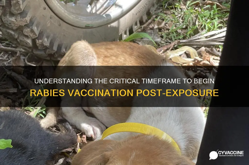 what is the window to start rabies vaccine