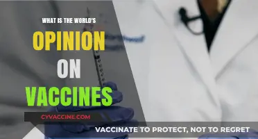 Global Perspectives: Vaccines, Trust, and Public Health Opinions Worldwide