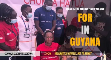 Understanding Yellow Fever Vaccination Requirements and Benefits in Guyana