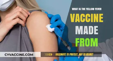 Understanding Yellow Fever Vaccine Composition: Key Ingredients Explained