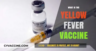 Understanding Yellow Fever: The Essential Vaccine Guide for Travelers