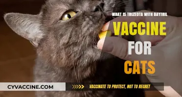 Understanding Trizedta with Baytril Vaccine for Cats: Benefits and Uses