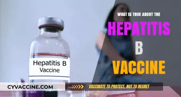 Hepatitis B Vaccine: Debunking Myths and Understanding Its True Benefits