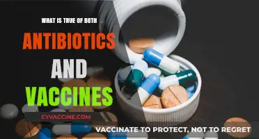 Antibiotics and Vaccines: Shared Roles in Preventing and Treating Infections