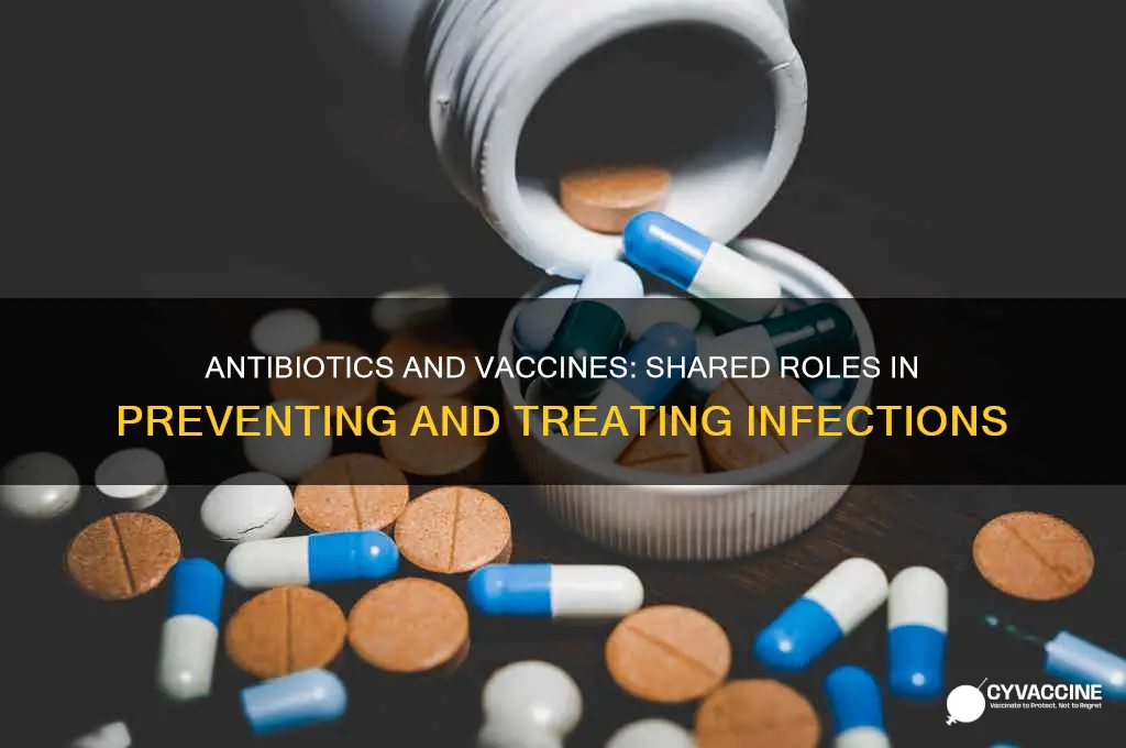 what is true of both antibiotics and vaccines