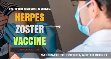 Shingrix Herpes Zoster Vaccine: Key Facts and Benefits Explained
